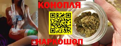дживик Кунгур
